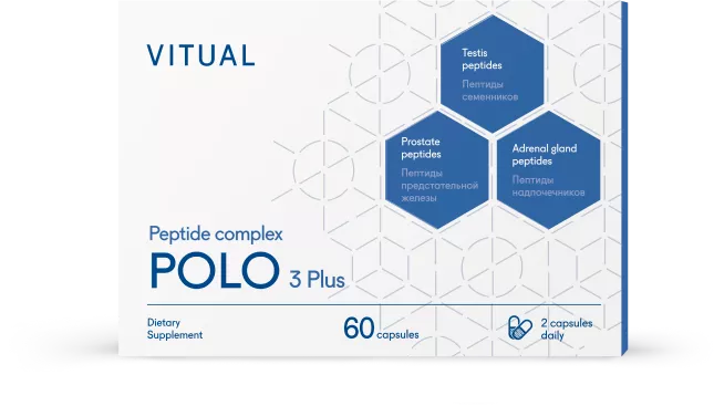 Vitual POLO 3 plus
