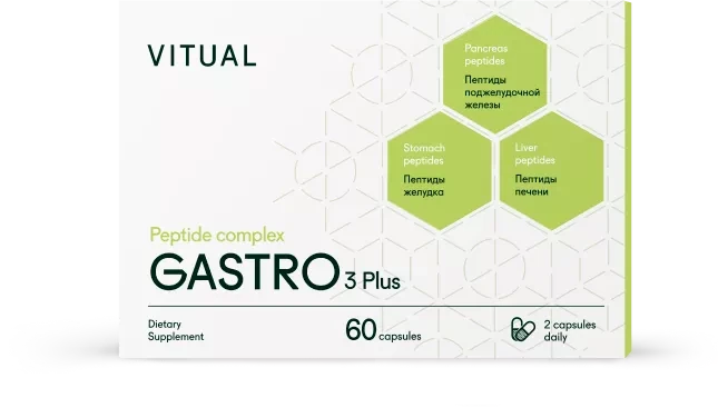 Vitual GASTRO 3 Plus